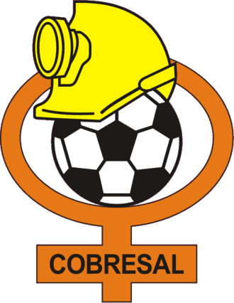 Team logo