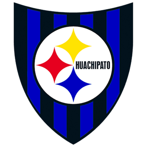 Team logo